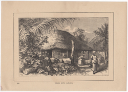 Negro huts, Jamaica